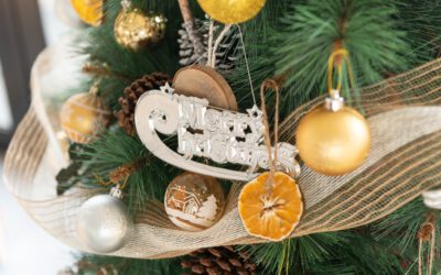 Top Tips For Recycling Your Christmas Tree