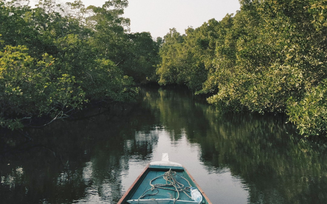 Celebrate Mangroves Awareness Month With LifestyleGarden®’s Nassau Collection